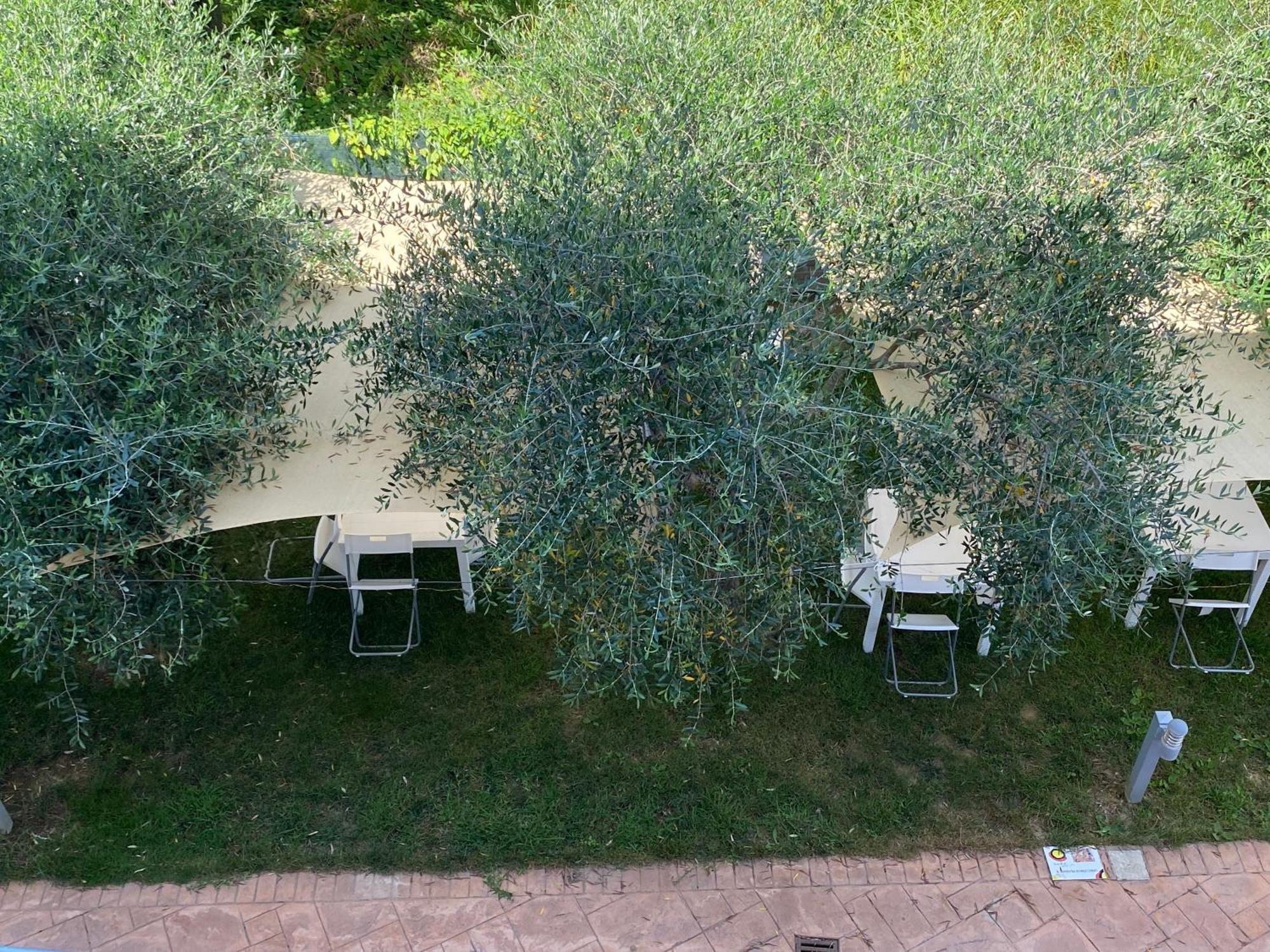 Bed and Breakfast Miro' Agropoli Zewnętrze zdjęcie